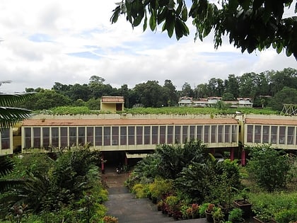 jardin botanico tropical e instituto de investigacion de kerala thiruvananthapuram