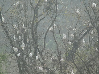 Mandagadde Bird Sanctuary