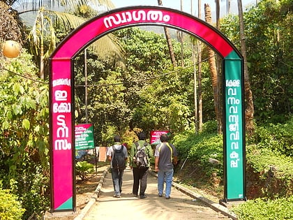 thusharagiri falls vythiri