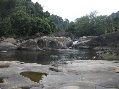 aripara falls thiruvambady