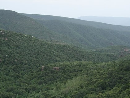 parque nacional de sri venkateswara