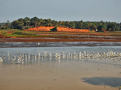 thrissur ponnani kole wetlands