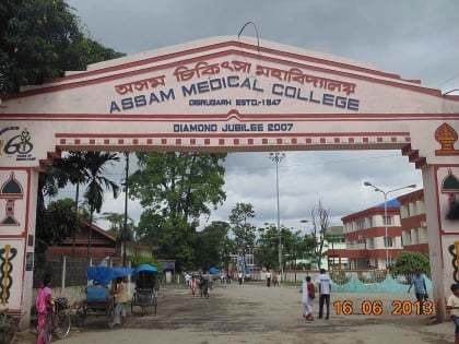 colegio medico de assam dibrugarh