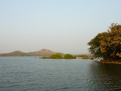 kamleshwar dam gir nationalpark