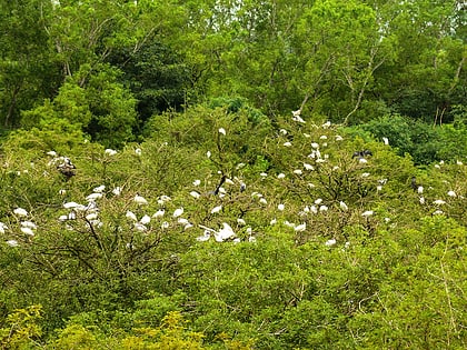 Sanktuarium Ptaków Gudavi