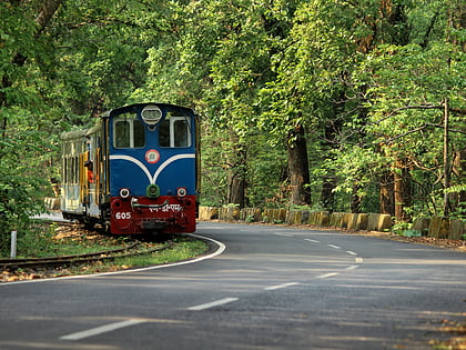 darjeeling himalayan railway dardzyling