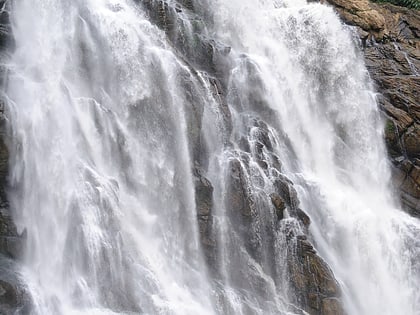 meenmutty falls mananthavady