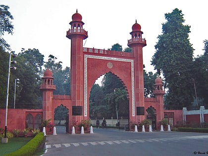universite musulmane daligarh