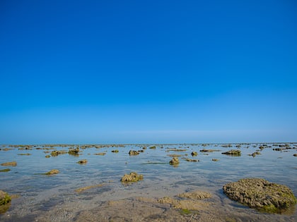 Parc national marin du Golfe de Kutch