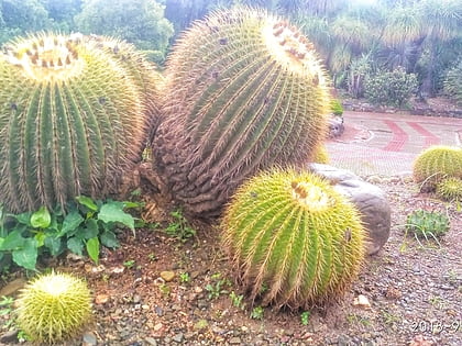 national cactus and succulent botanical garden and research centre chandigarh