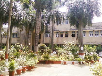 institute of chemical technology bombay
