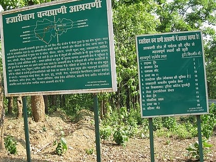 Hazaribagh Wildlife Sanctuary