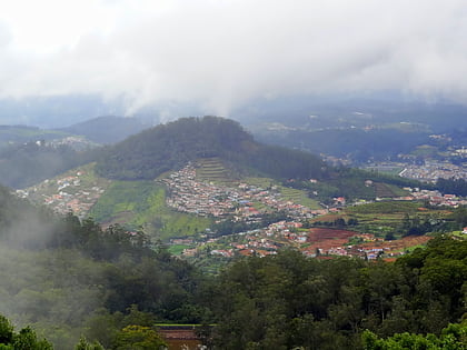 ooty