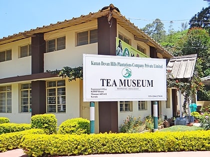 munnar tea museum