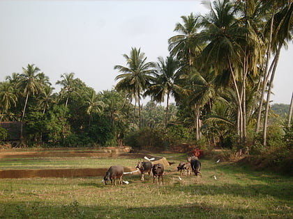 Pernem taluk