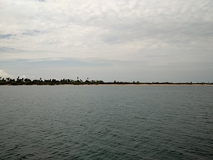 nallathanni theevu gulf of mannar marine national park