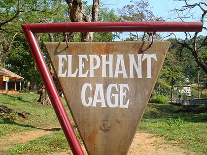 elephant training center distrito de pathanamthitta