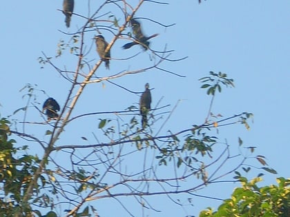 kumarakom bird sanctuary