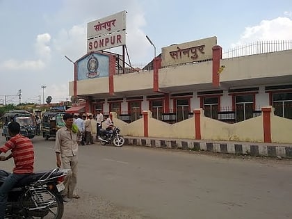 Sonpur