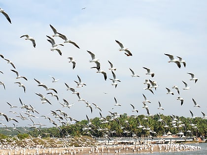 Kadalundi Bird Sanctuary