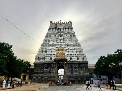 varadharaja perumal temple kanchipuram