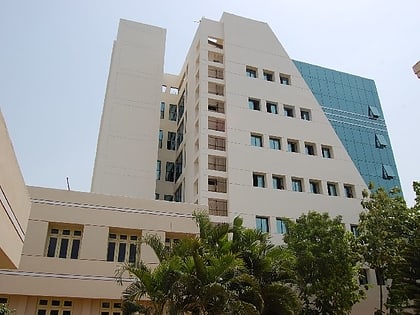 xavier institute of management bhubaneswar