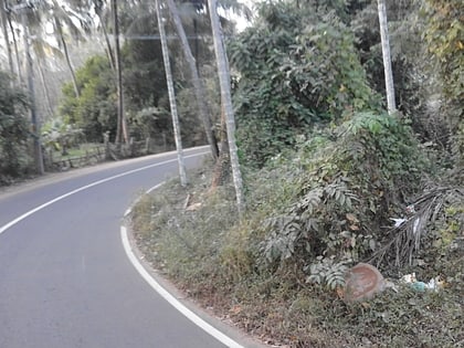 adyanpara falls nilambur