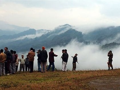 Mizoram–Manipur–Kachin rain forests