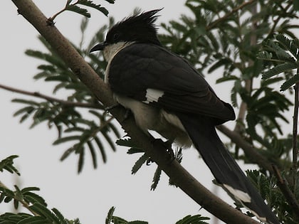 Parc national de Mrugavani