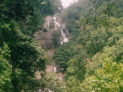 siruvani waterfalls malampuzha