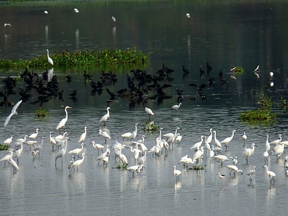 Singanallur Lake
