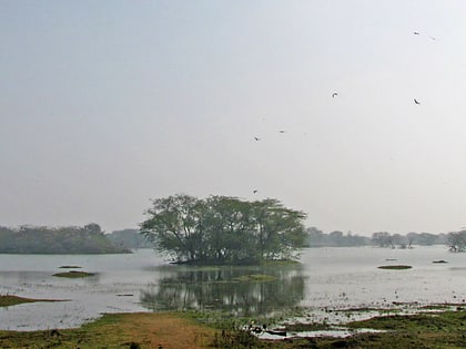 Parque nacional de Sultanpur