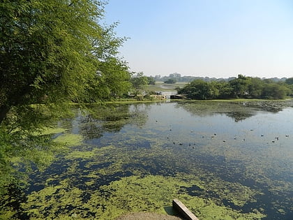 Nawabganj Bird Sanctuary