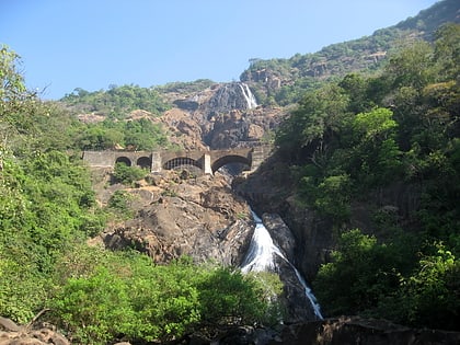 dudhsagar falls sanktuarium dzikiej przyrody bondla