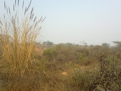 aravali biodiversity park gurgaon