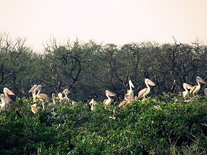 vedanthangal bird sanctuary