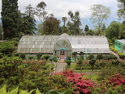 Jardín botánico de Darjeeling