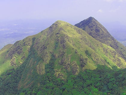 chembra peak meppadi