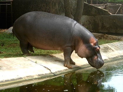 parque zoologico de indira gandhi visakhapatnam