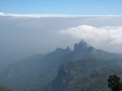 Rangaswamy Peak and Pillar