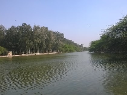 sanjay lake nowe delhi