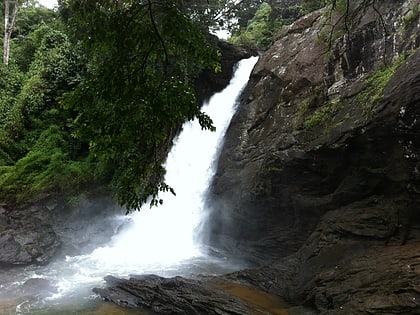 soochipara falls meppadi