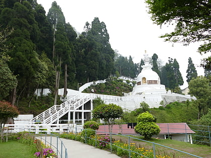peace pagoda darjeeling