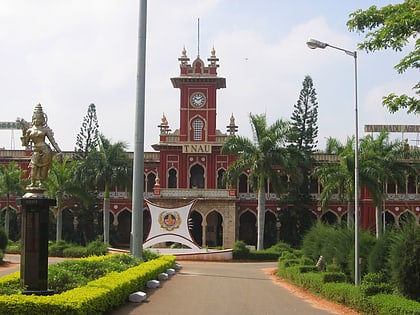 tamil nadu agricultural university kovilpatti