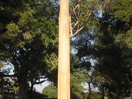 columna de heliodoro vidisha
