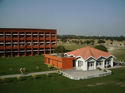 Deenbandhu Chhotu Ram University of Science and Technology