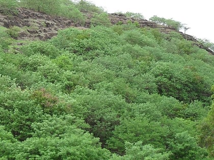 Baner-Pashan Biodiversity Park