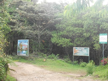 parque nacional de anamudi shola ghats occidentales