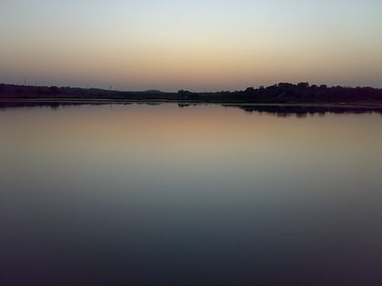 futala lake nagpur