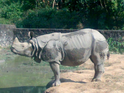 assam state zoo guwahati